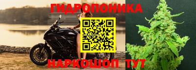 ешки Свободный