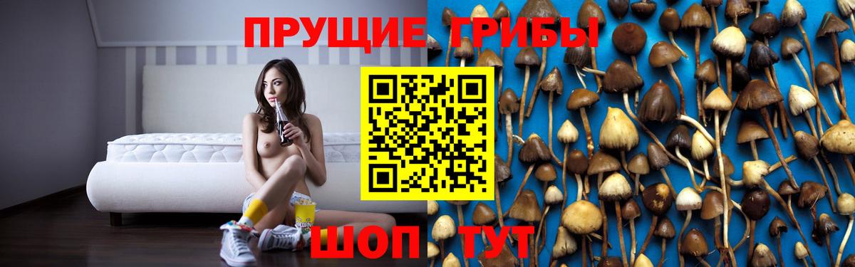Галлюциногенные грибы Psilocybe  Вход с VPN  Полевской 