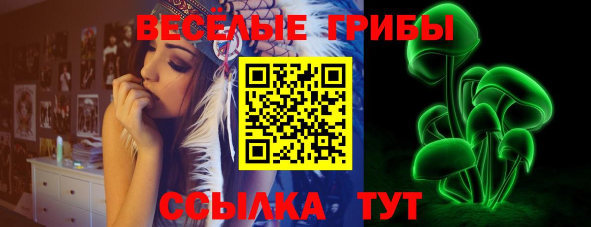 Псилоцибиновые грибы Psilocybine cubensis Полевской